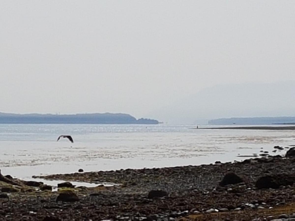 Airport Inn Port Hardy Εξωτερικό φωτογραφία